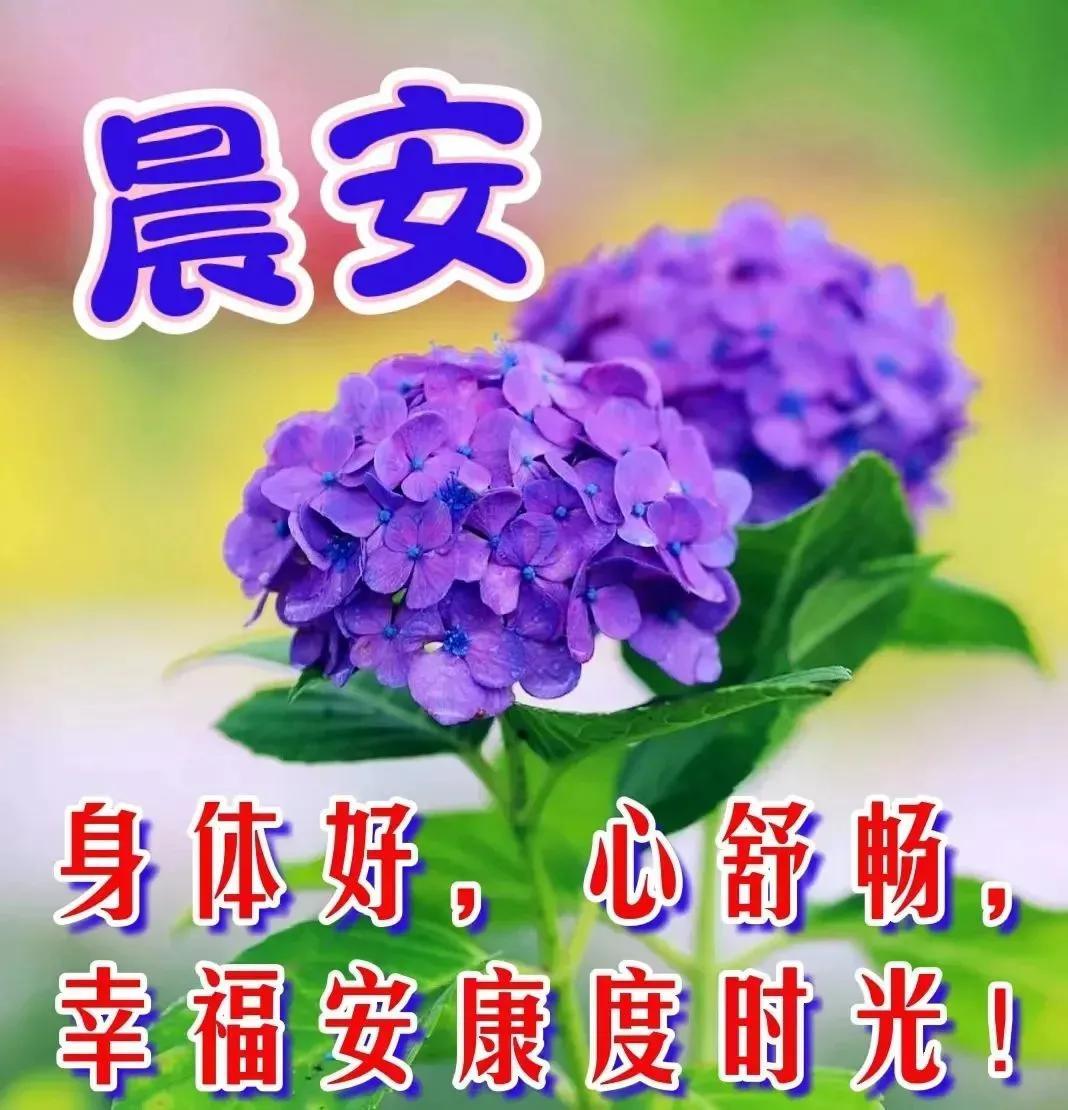 周三心语 重拾努力、拼搏的勇气，追寻成功的足迹 ！(图6)