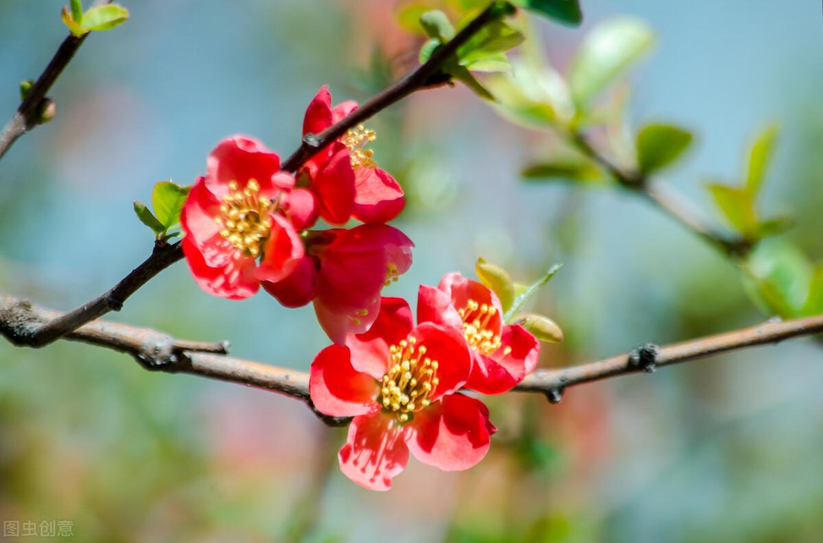 想你了，我最爱的人，忘不了你我做不到，念你成瘾戒不掉(图1)