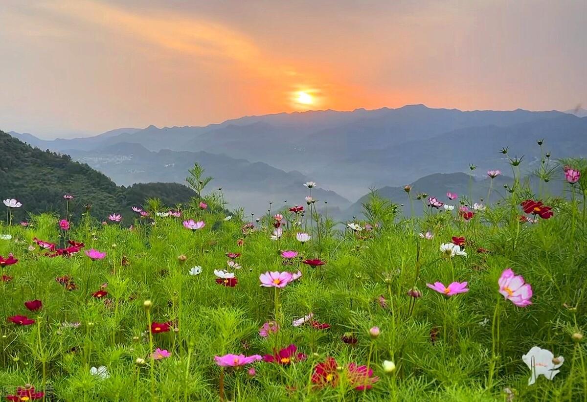 写给最爱的你：你若一直在，我便一直爱(图3)