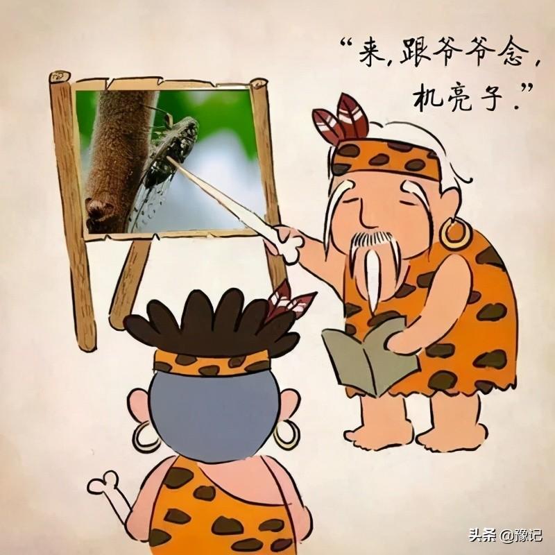 叫对了这些，你的河南方言能过八级 | 豫记(图6)