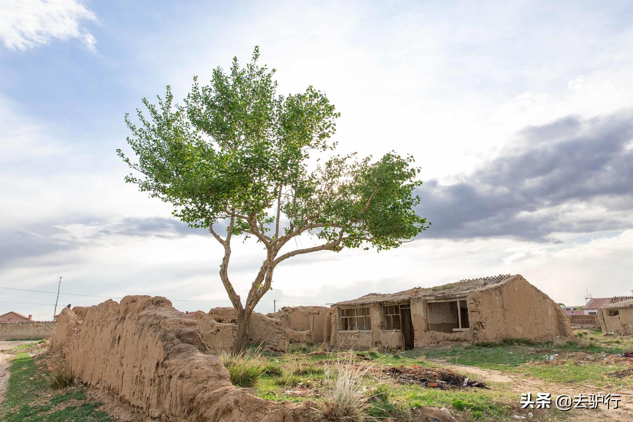 最博大精深的方言：河南老乡的方言，你能听懂几句？(图12)