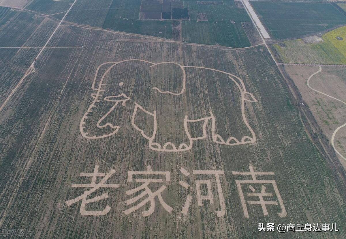 河南话到底多有意思，知了有十来种叫法，各地方言南阳话最有特点(图1)