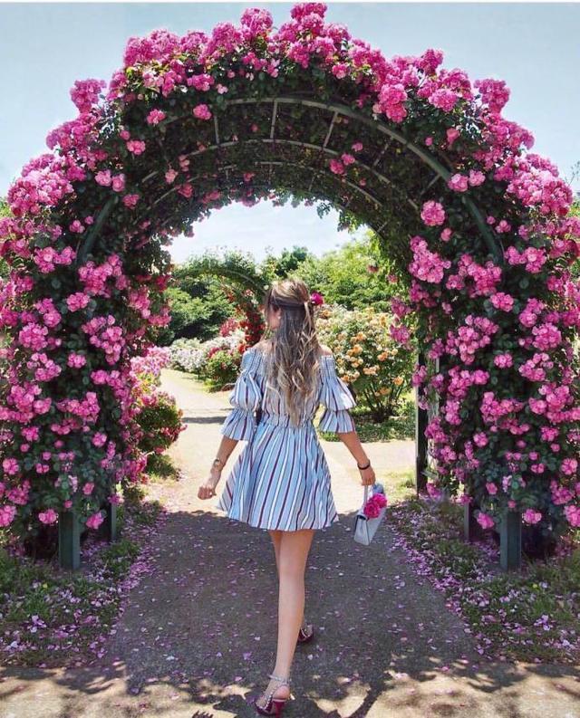 致自己的18个愿望，句句诚心诚恳，文艺范十足，发圈首选！(图3)