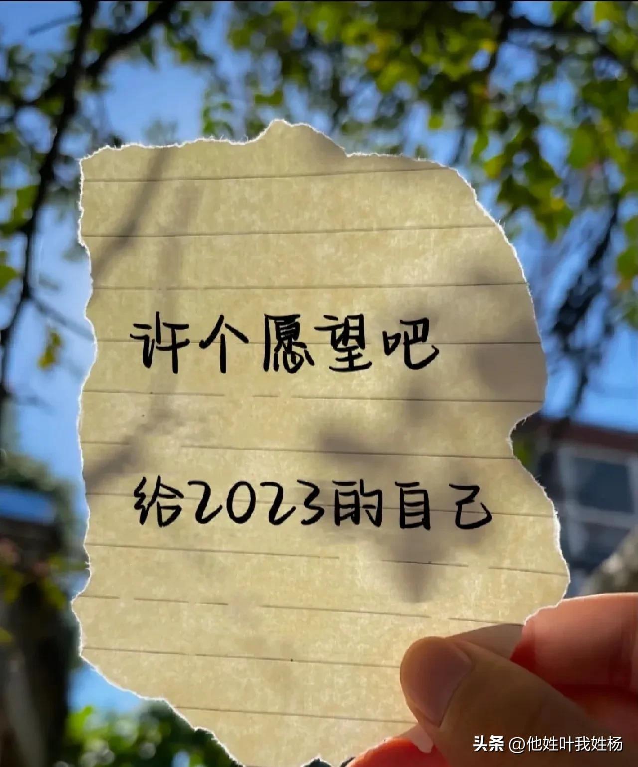 新年愿望高级文案(图1)