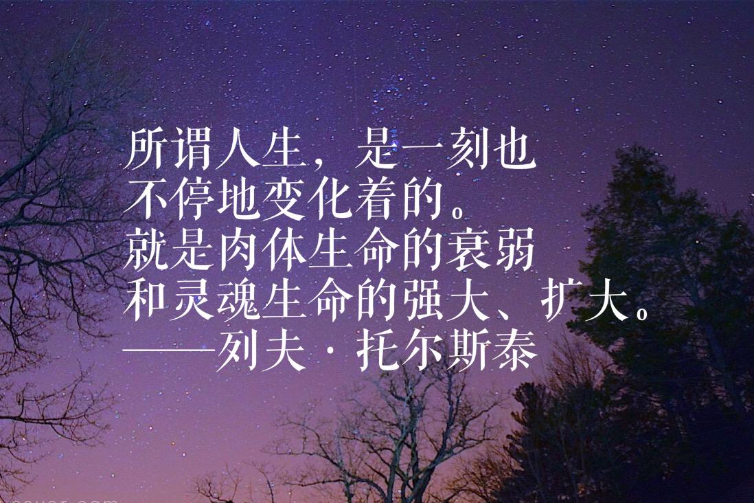 托尔斯泰十句名言，句句质朴细腻，笔触奔放，读完绝对让你佩服他(图13)