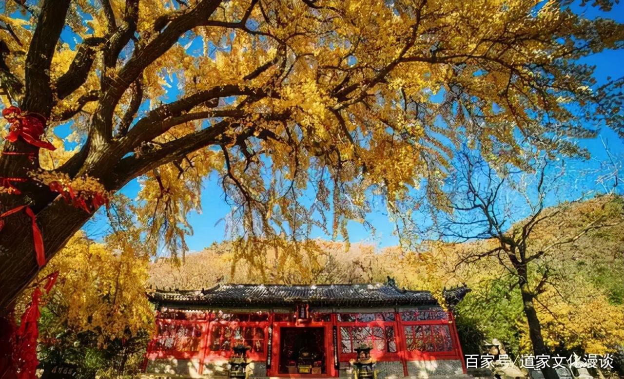 《增广贤文》中的10句警世名言，字字珠玑，感悟人生大智慧(图1)