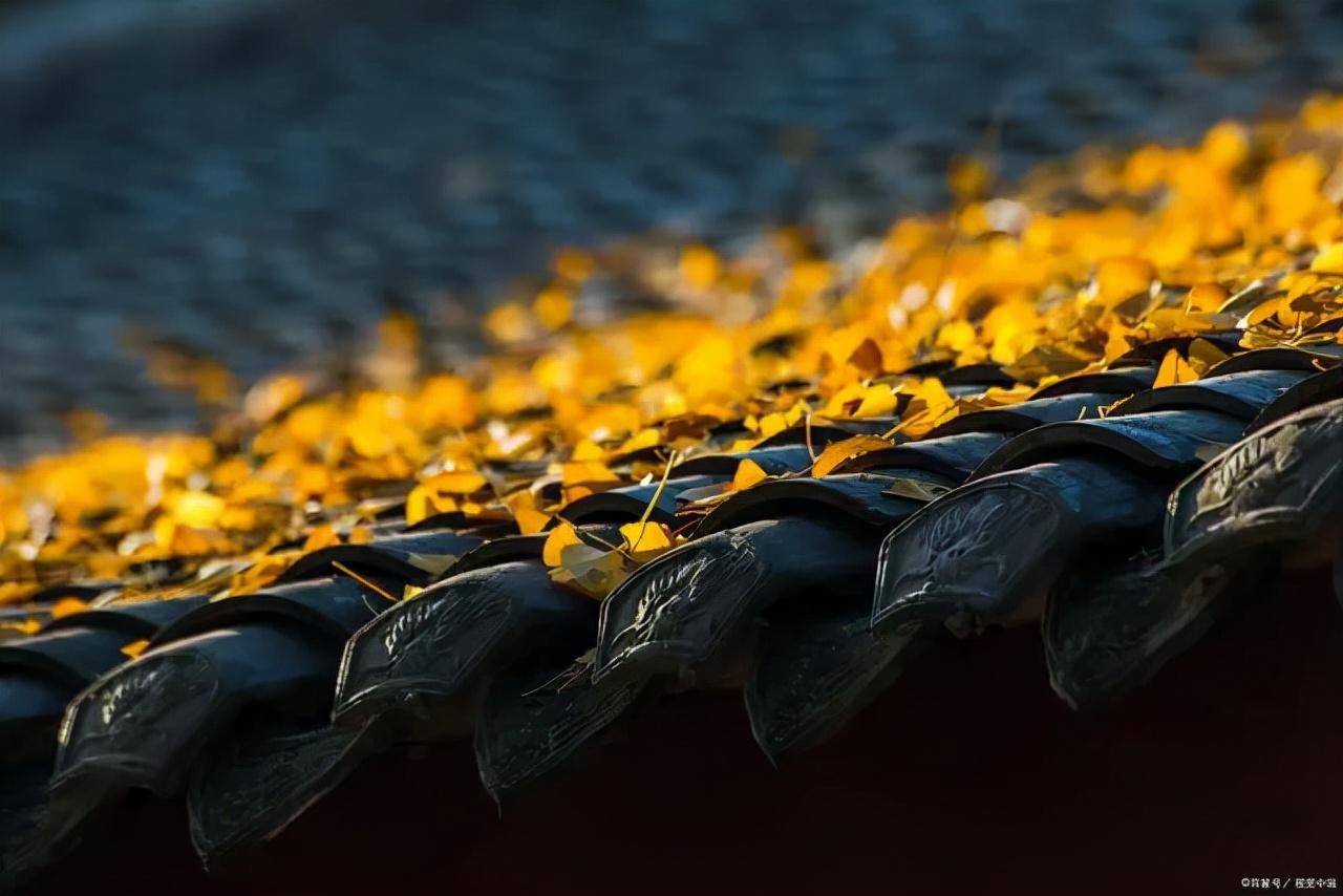 《增广贤文》中的10句警世名言，字字珠玑，感悟人生大智慧(图3)