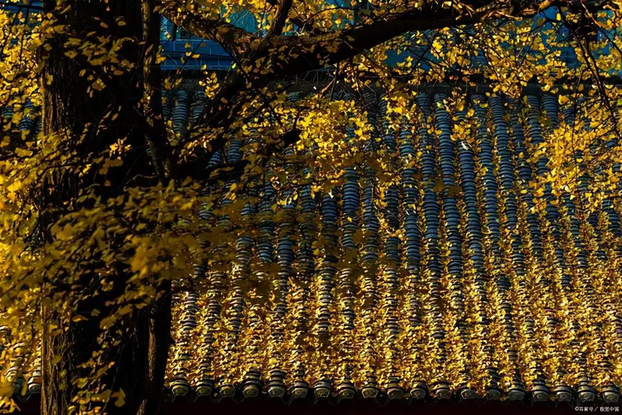 《增广贤文》中的10句警世名言，字字珠玑，感悟人生大智慧(图4)