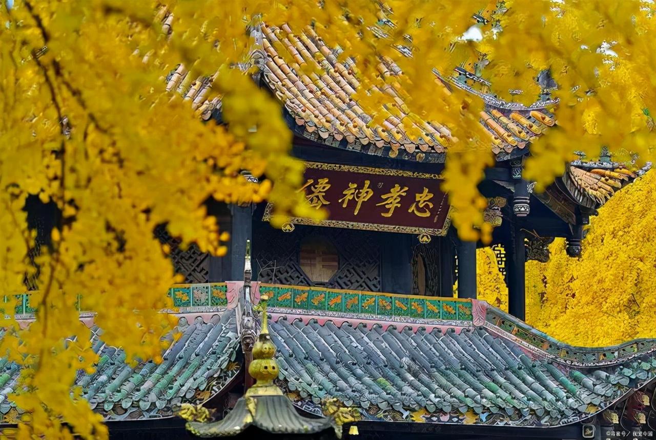 《增广贤文》中的10句警世名言，字字珠玑，感悟人生大智慧(图5)