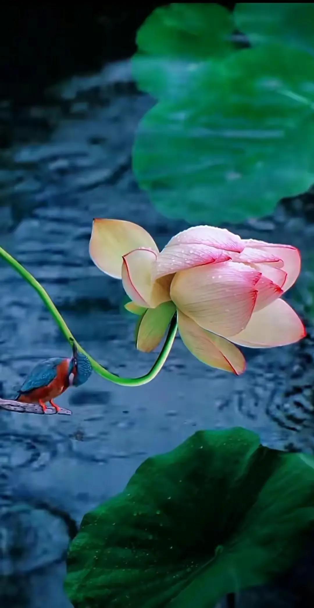 家风 家训 校训(图1)