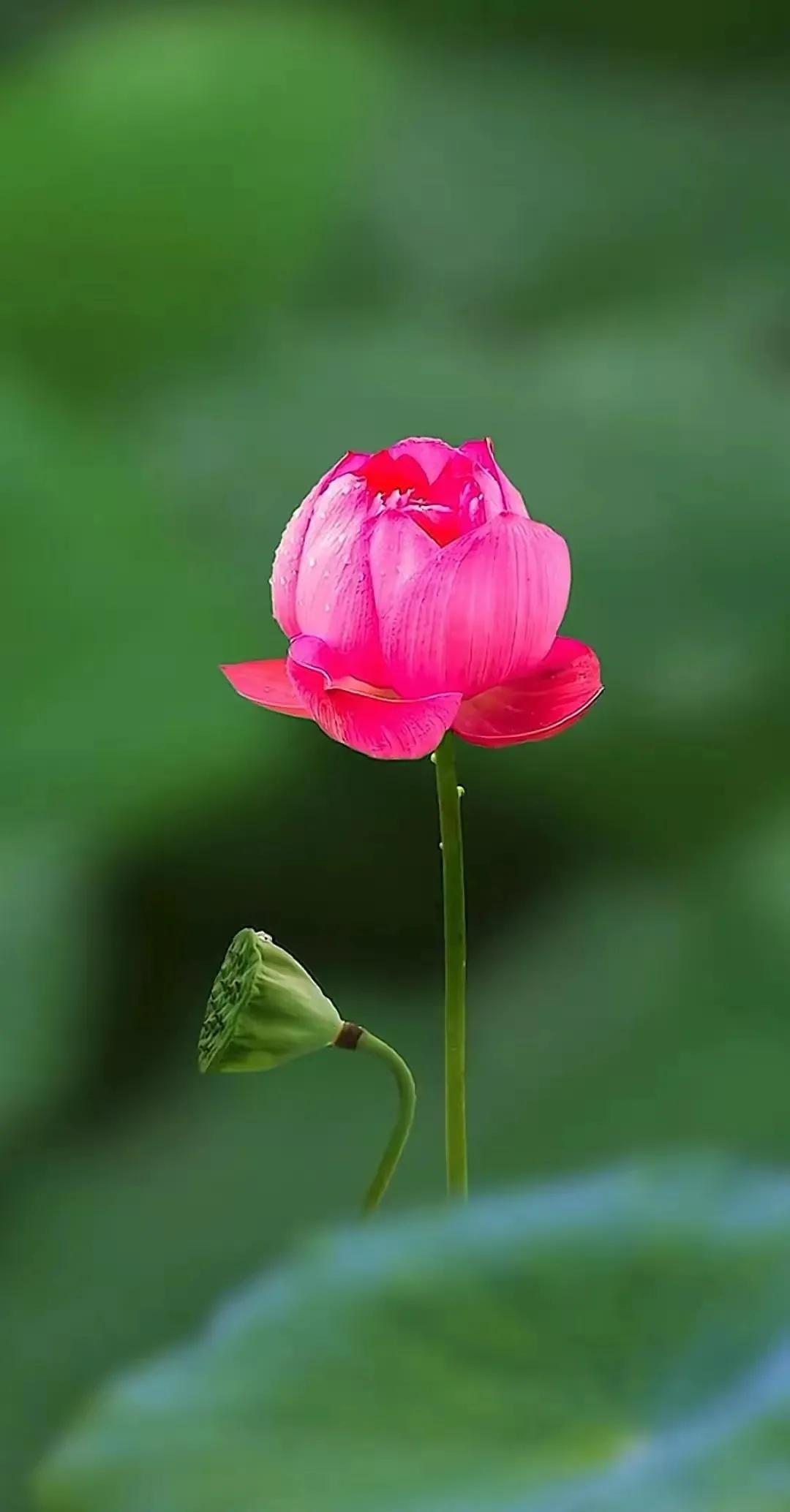 家风 家训 校训(图3)