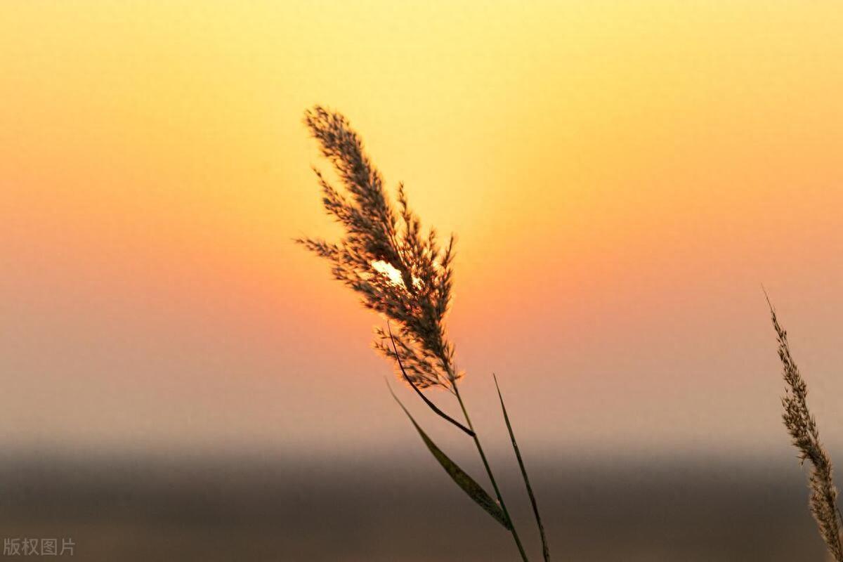 安静且强大的精选句子，好好爱自己，时间会解决一切(图1)