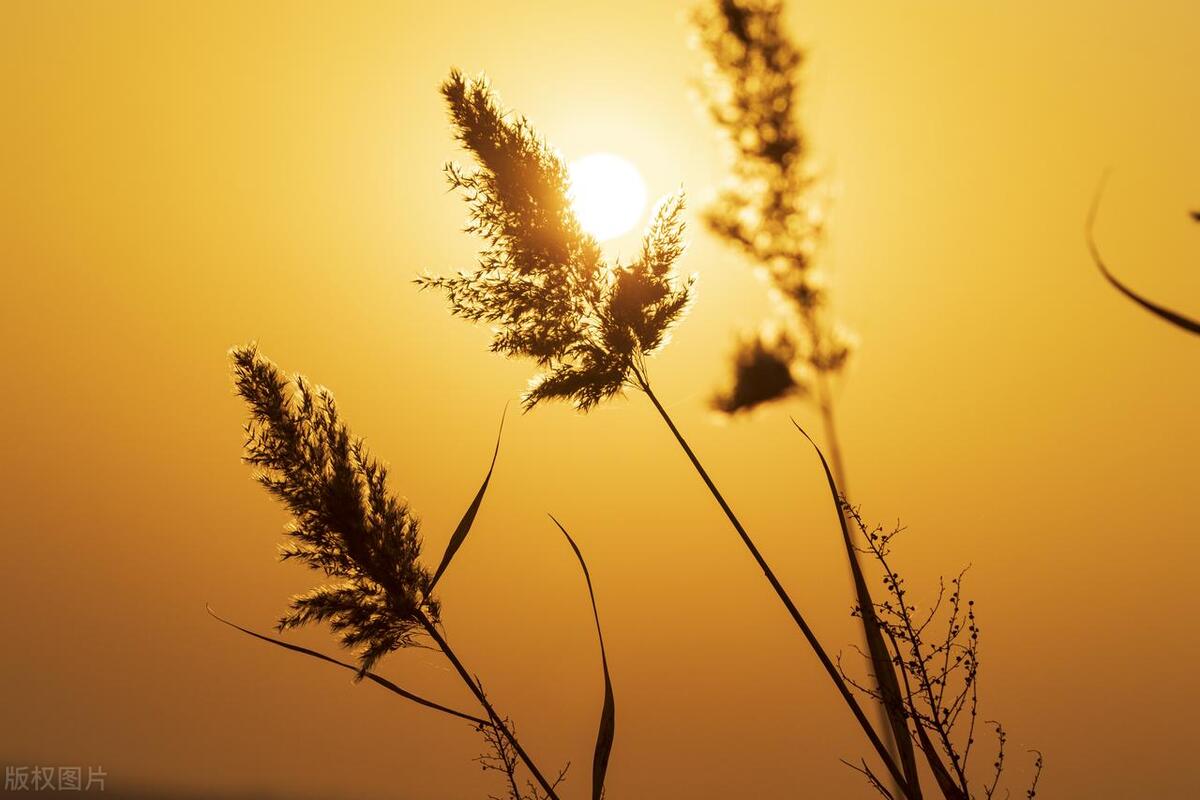 安静且强大的精选句子，好好爱自己，时间会解决一切(图2)