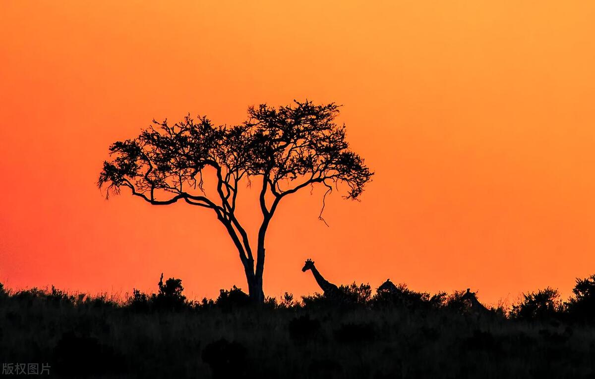 安静且强大的精选句子，好好爱自己，时间会解决一切(图3)