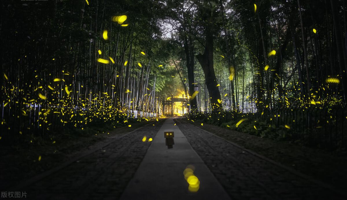 形容人很文艺的句子（夸人有文艺范的句子）(图2)