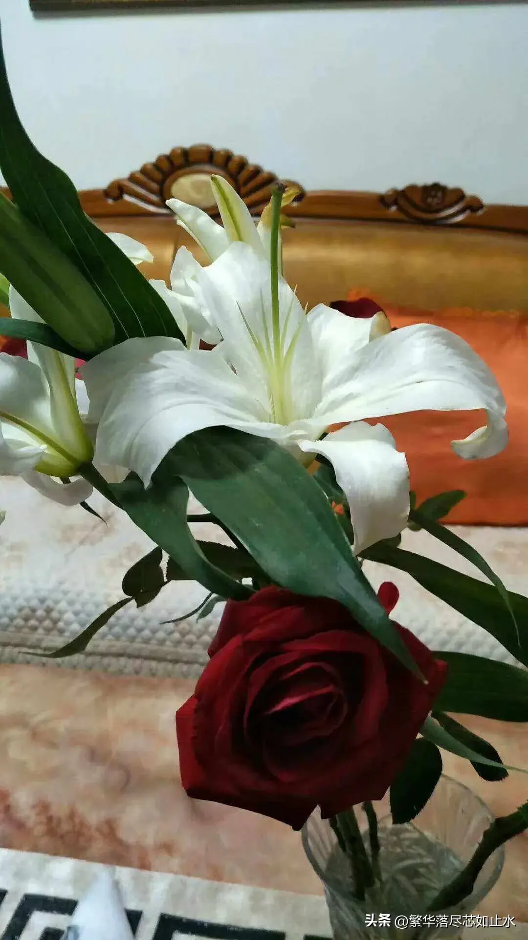 12句名言金句，帮你洞悉人生智慧，开启成功之路(图15)