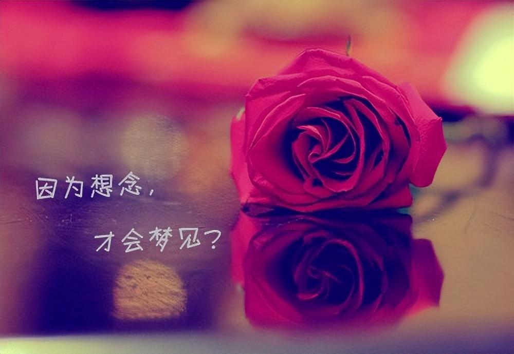 单身女人的励志语录(精选70句)(图1)