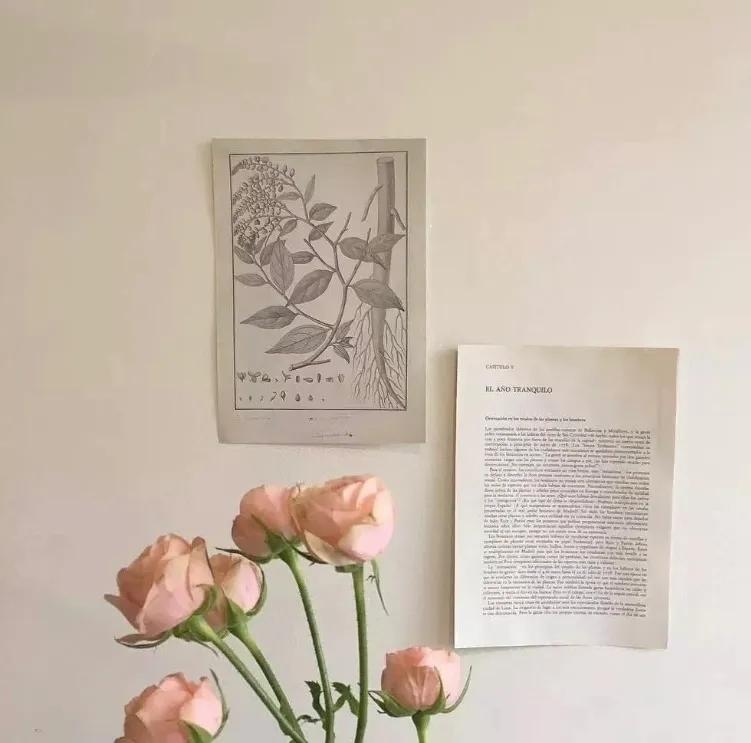 适合单身的朋友圈文案(图6)