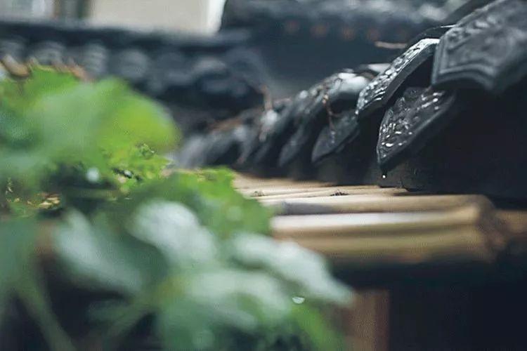 良训传家，古人的六种治家智慧(图2)