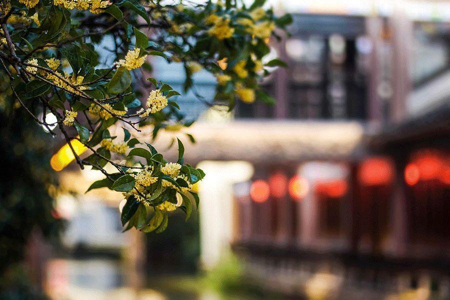 良训传家，古人的六种治家智慧(图3)