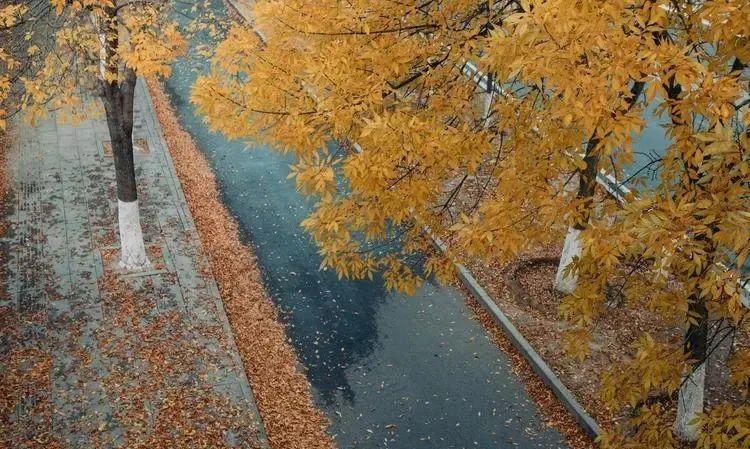 下雨天走心文案：雨中诗行，沐浴灵魂的温柔雨露(图4)