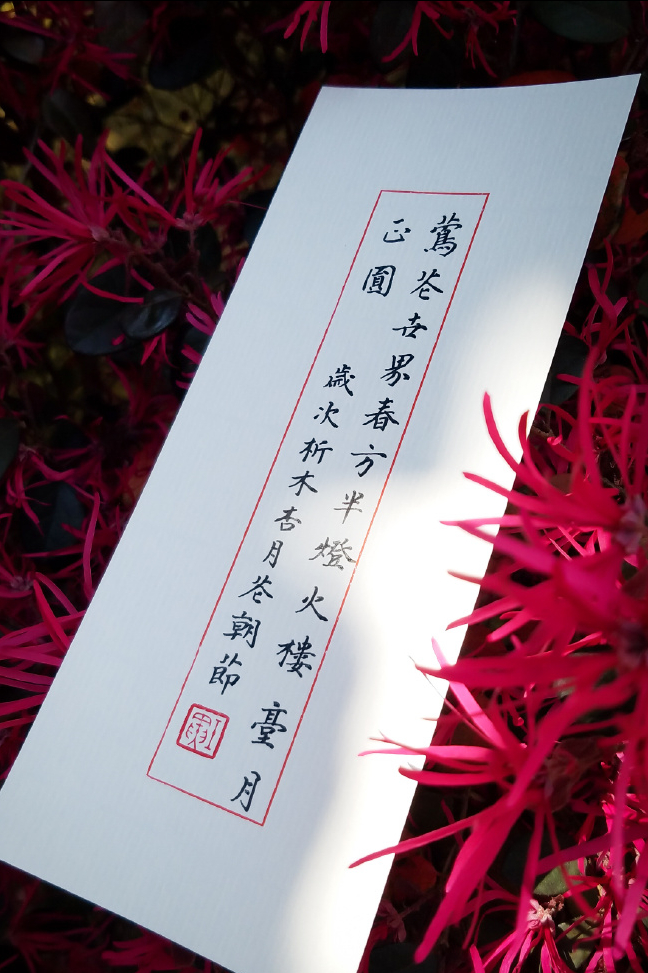 月遇从云，花遇和风，今晚上的夜空很美，我又想你(图4)