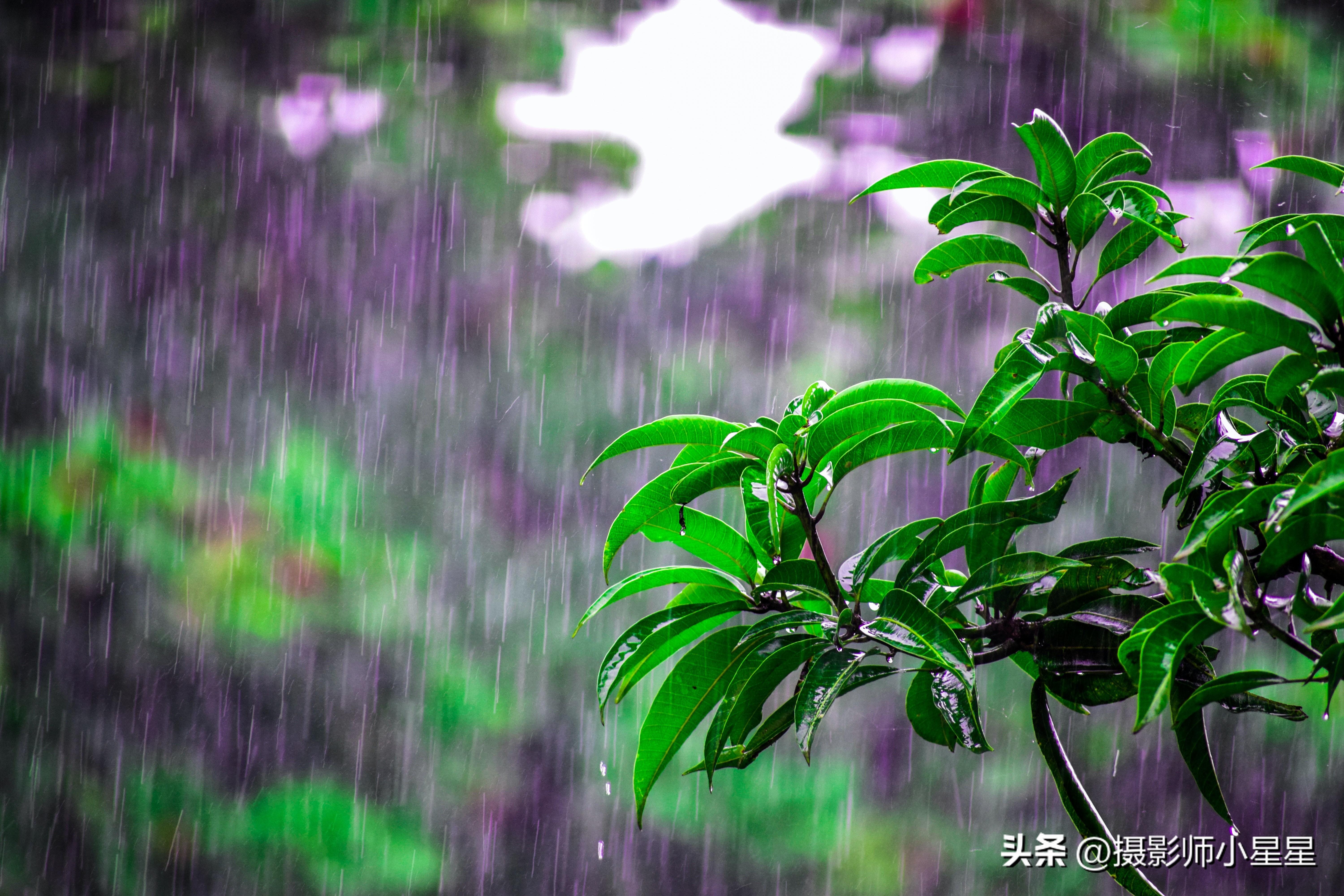 下雨天怎么拍？学会这6招，轻松拍出动人雨景(图3)