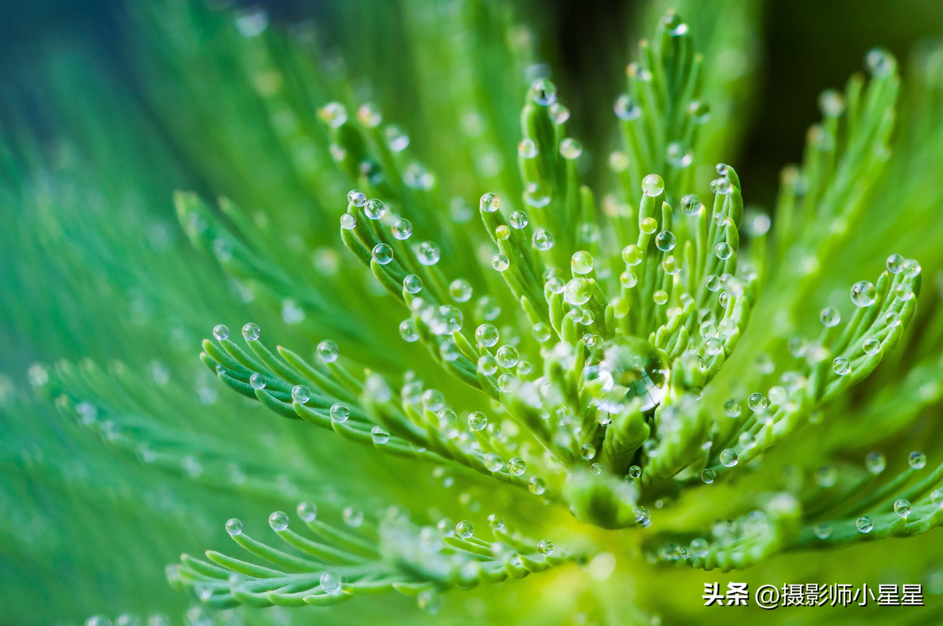 下雨天怎么拍？学会这6招，轻松拍出动人雨景(图4)