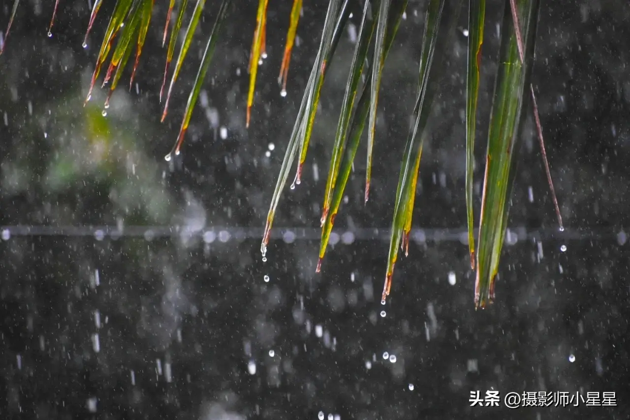 下雨天怎么拍？学会这6招，轻松拍出动人雨景(图17)