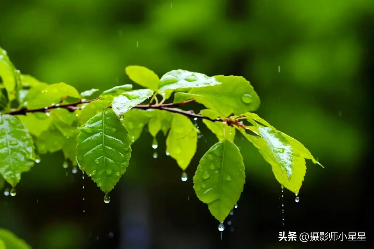 下雨天怎么拍？学会这6招，轻松拍出动人雨景(图18)