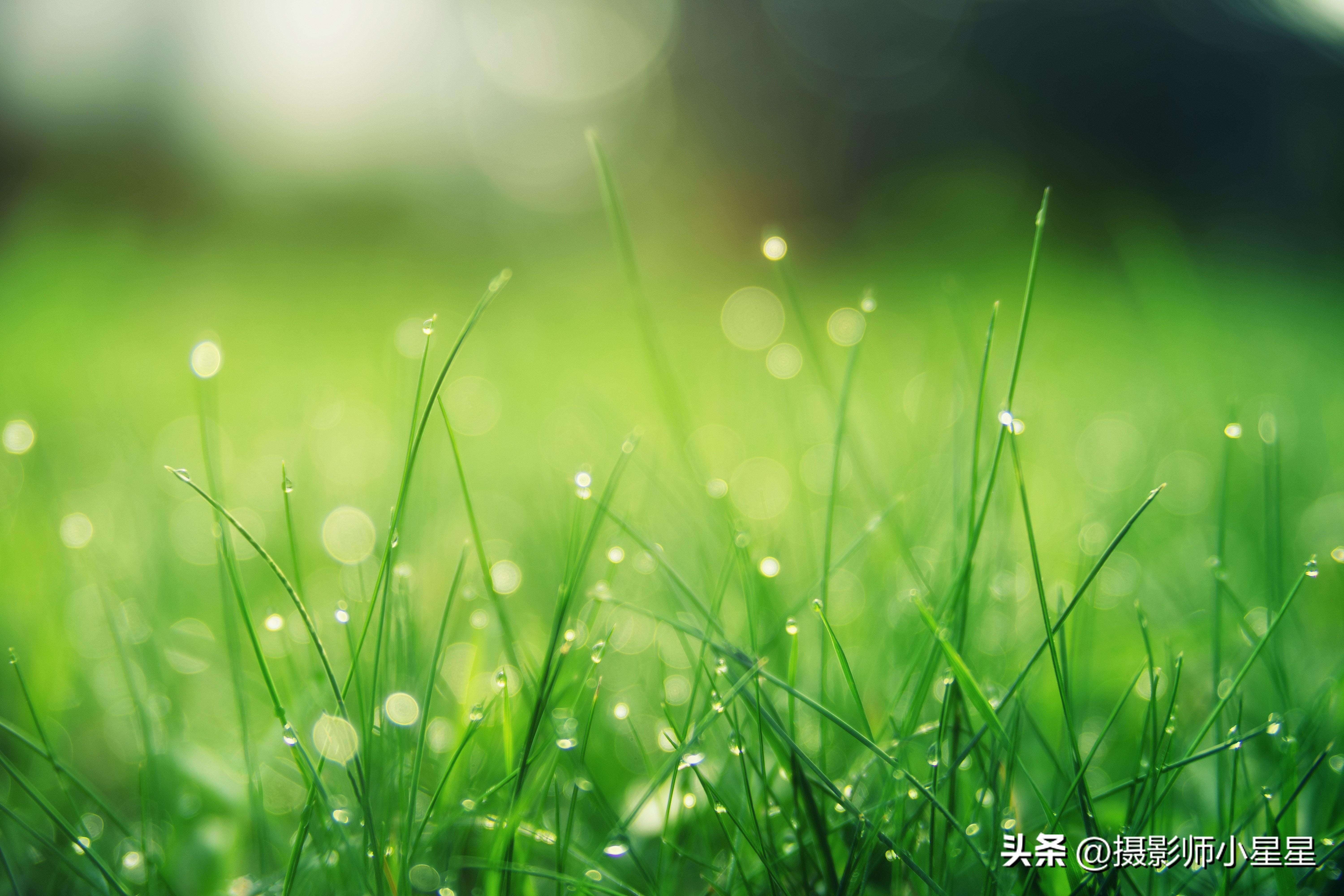 下雨天怎么拍？学会这6招，轻松拍出动人雨景(图19)