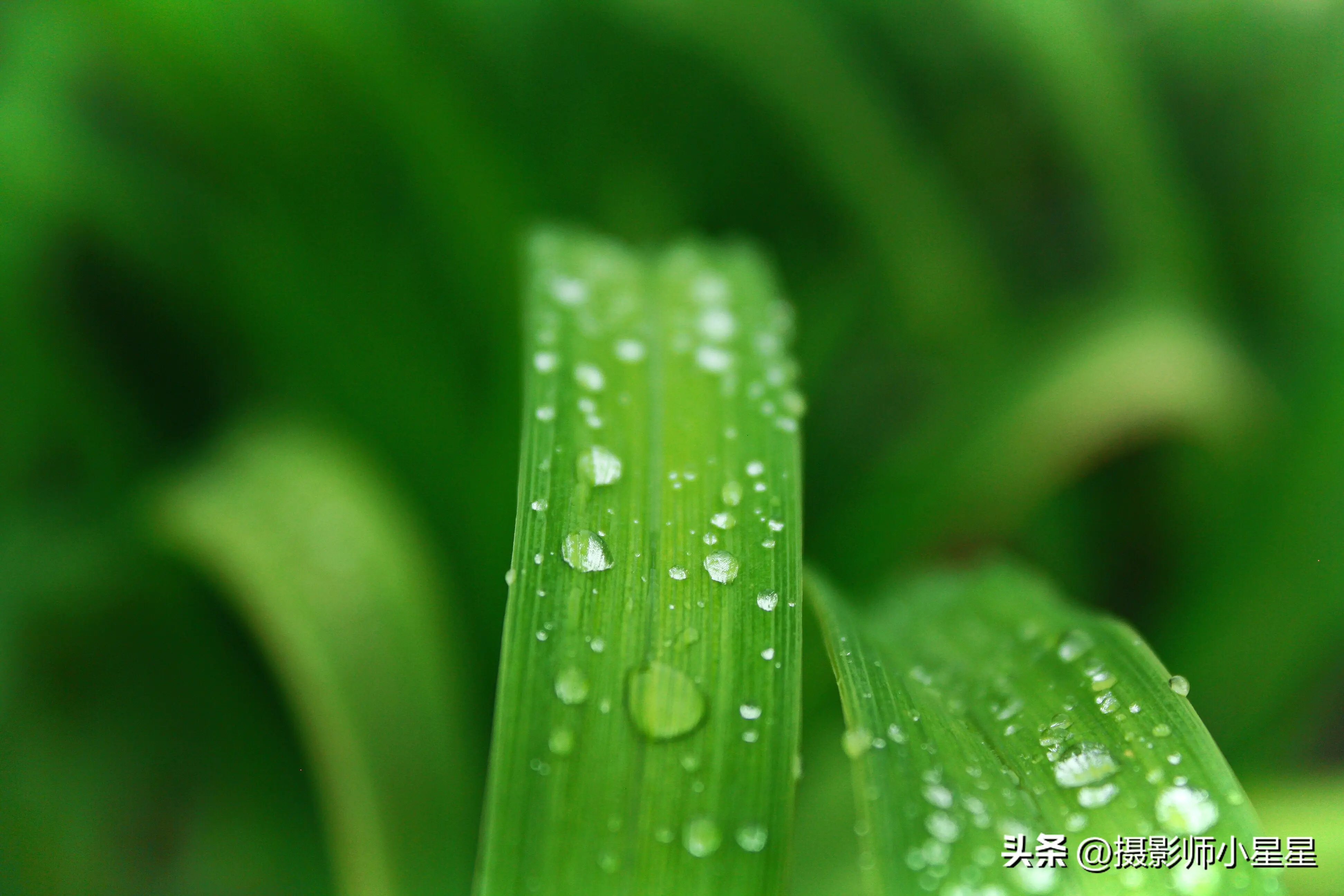 下雨天怎么拍？学会这6招，轻松拍出动人雨景(图30)