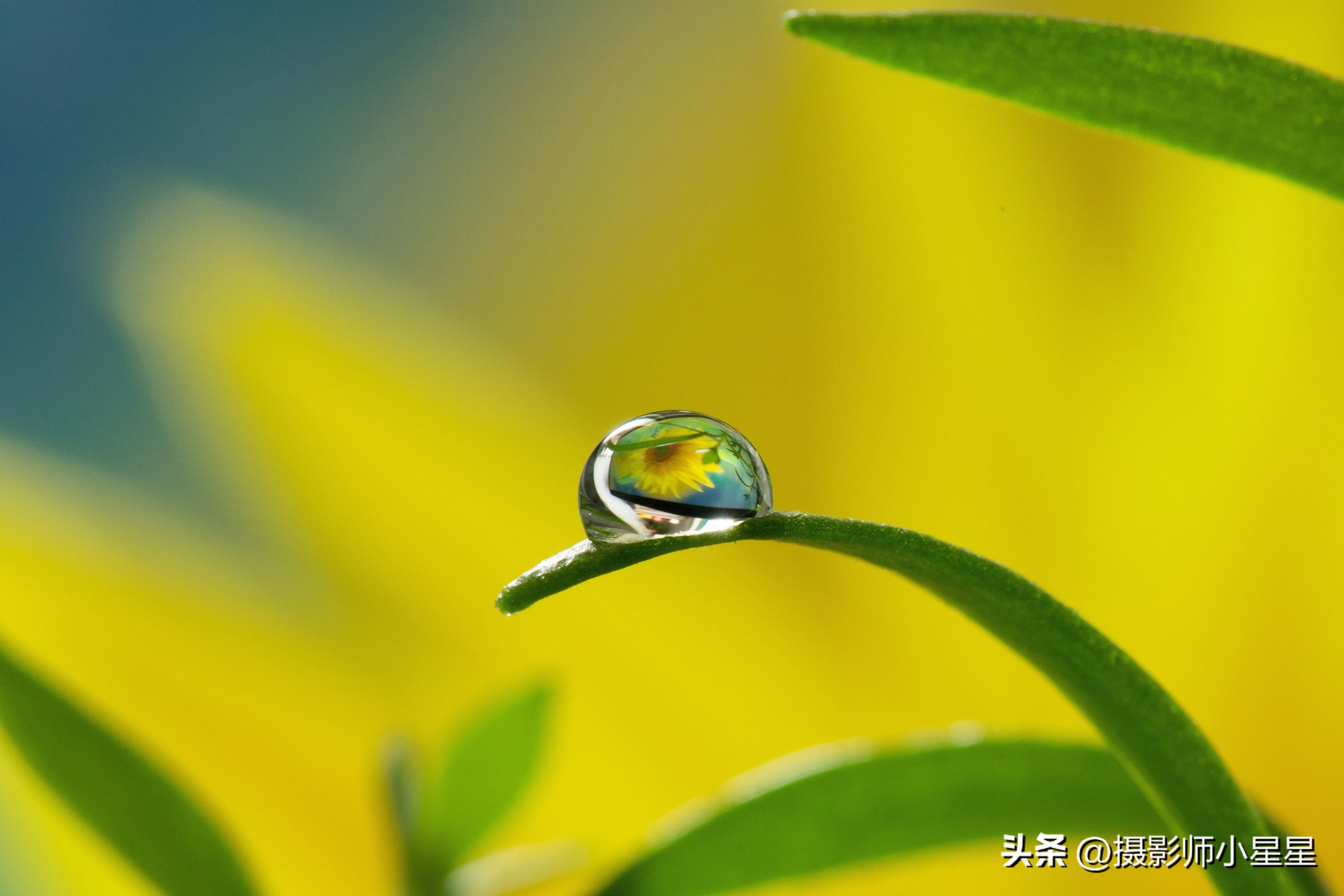 下雨天怎么拍？学会这6招，轻松拍出动人雨景(图31)