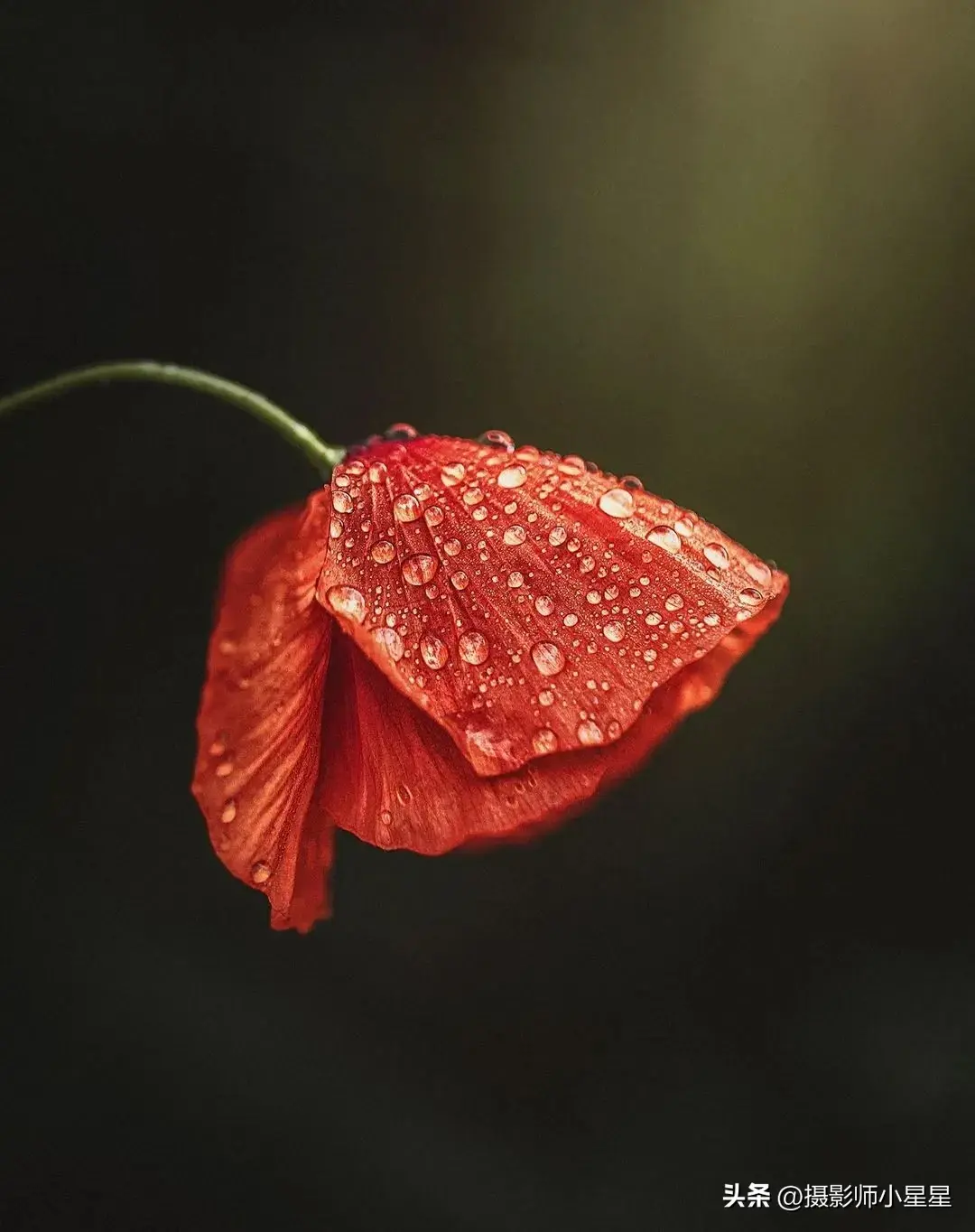 下雨天怎么拍？学会这6招，轻松拍出动人雨景(图34)