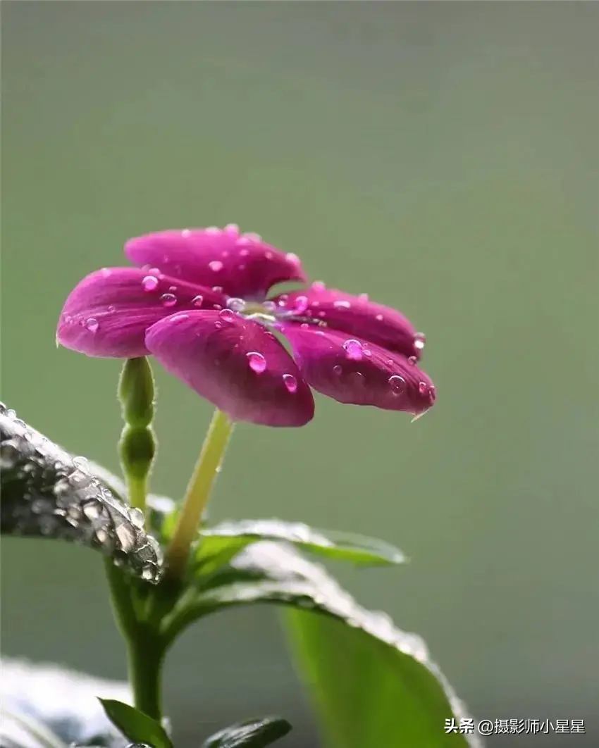 下雨天怎么拍？学会这6招，轻松拍出动人雨景(图35)