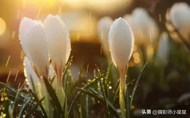 下雨天怎么拍？学会这6招，轻松拍出动人雨景(图40)