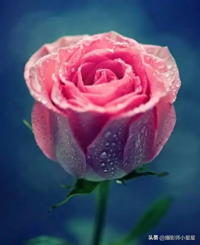 下雨天怎么拍？学会这6招，轻松拍出动人雨景(图41)