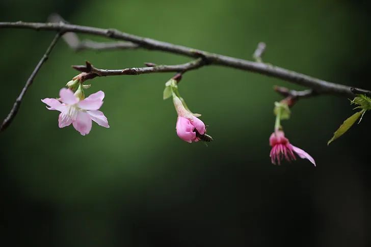 句句扎心人间清醒文案：如果不上班，会有100％的痛苦来自于没钱(图2)
