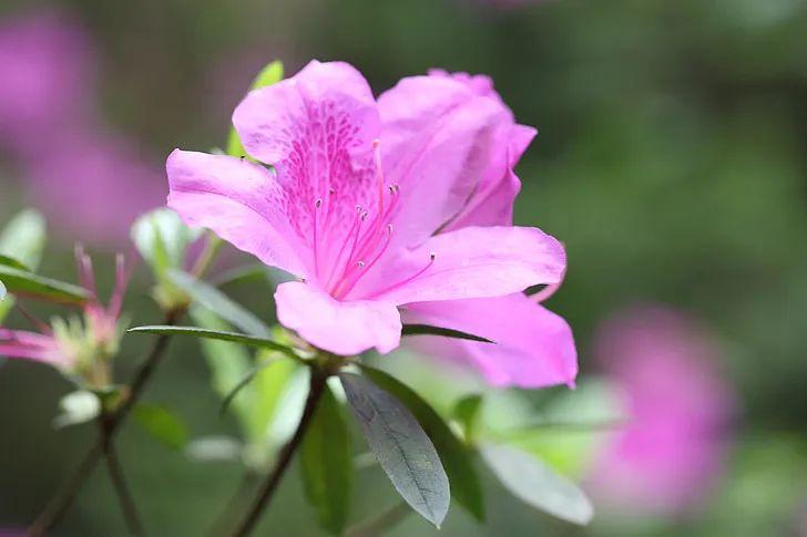 句句扎心人间清醒文案：如果不上班，会有100％的痛苦来自于没钱(图5)