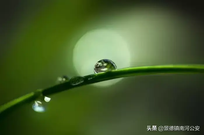 诗词｜史上最美50首五言绝句，短到极致，美到心碎！(图4)