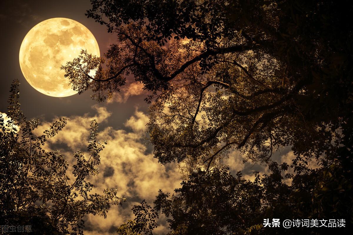 美到极致的20首五言绝句，语言雅致，情境优美(图2)