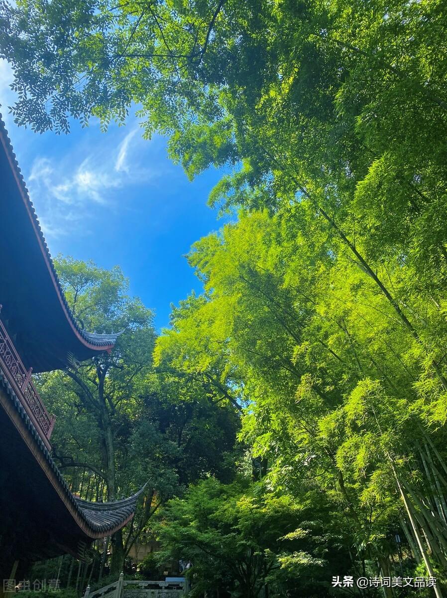 美到极致的20首五言绝句，语言雅致，情境优美(图4)