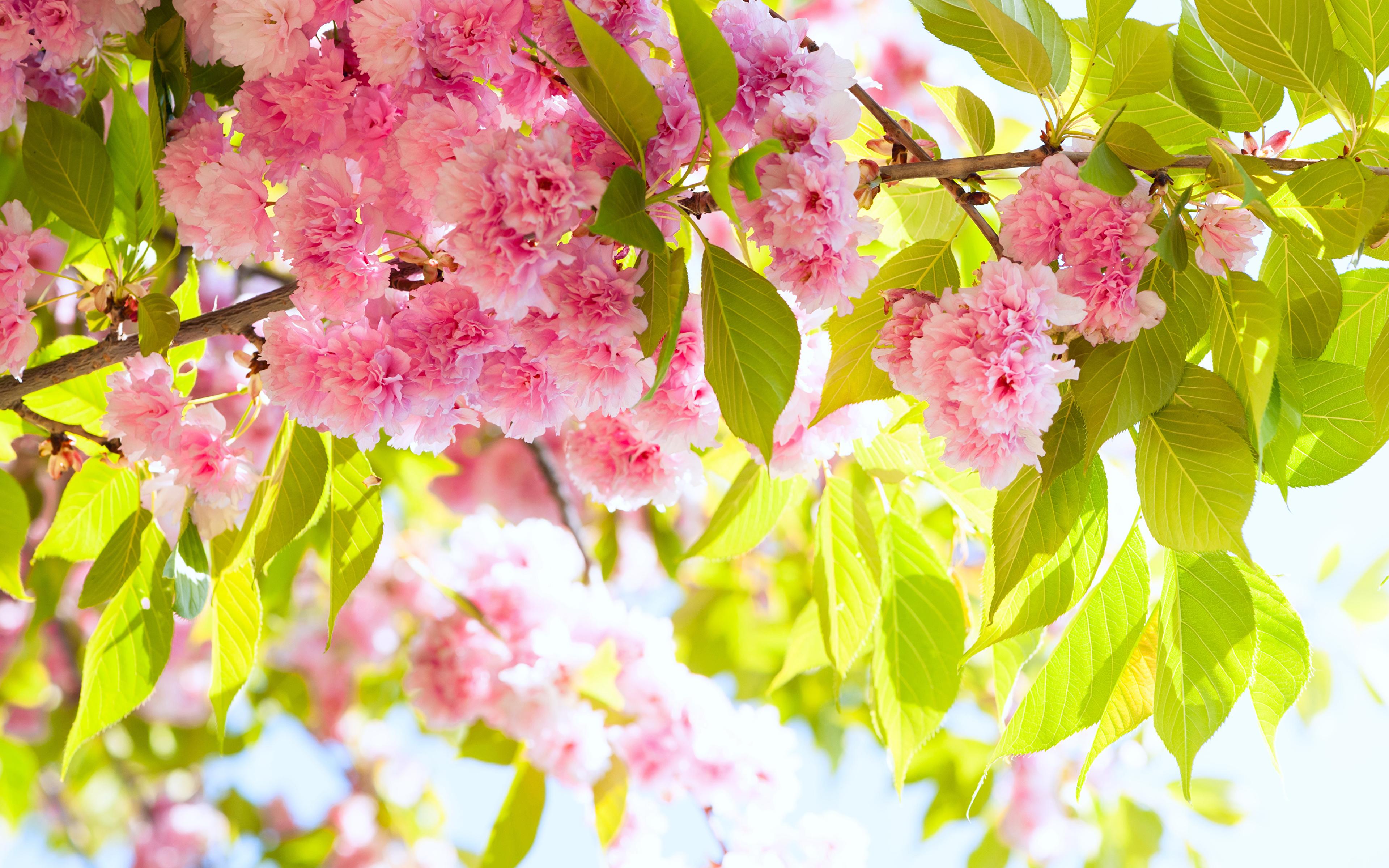 有哪些激励人心的句子，陪伴你度过了漫长的旅程(图1)