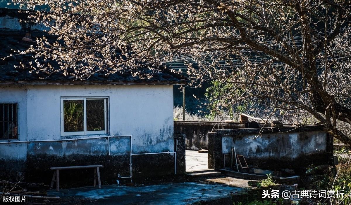 辛弃疾这首词，将与好友陈同甫的革命友谊倾吐而出，读来令人动容(图2)