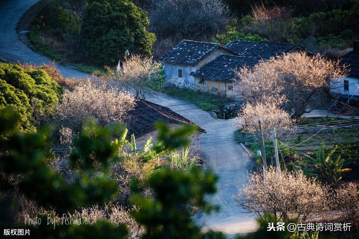 辛弃疾这首词，将与好友陈同甫的革命友谊倾吐而出，读来令人动容(图8)