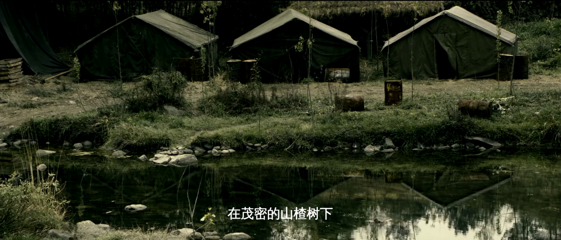 那我就等你一辈子｜《山楂树之恋》经典台词(图2)