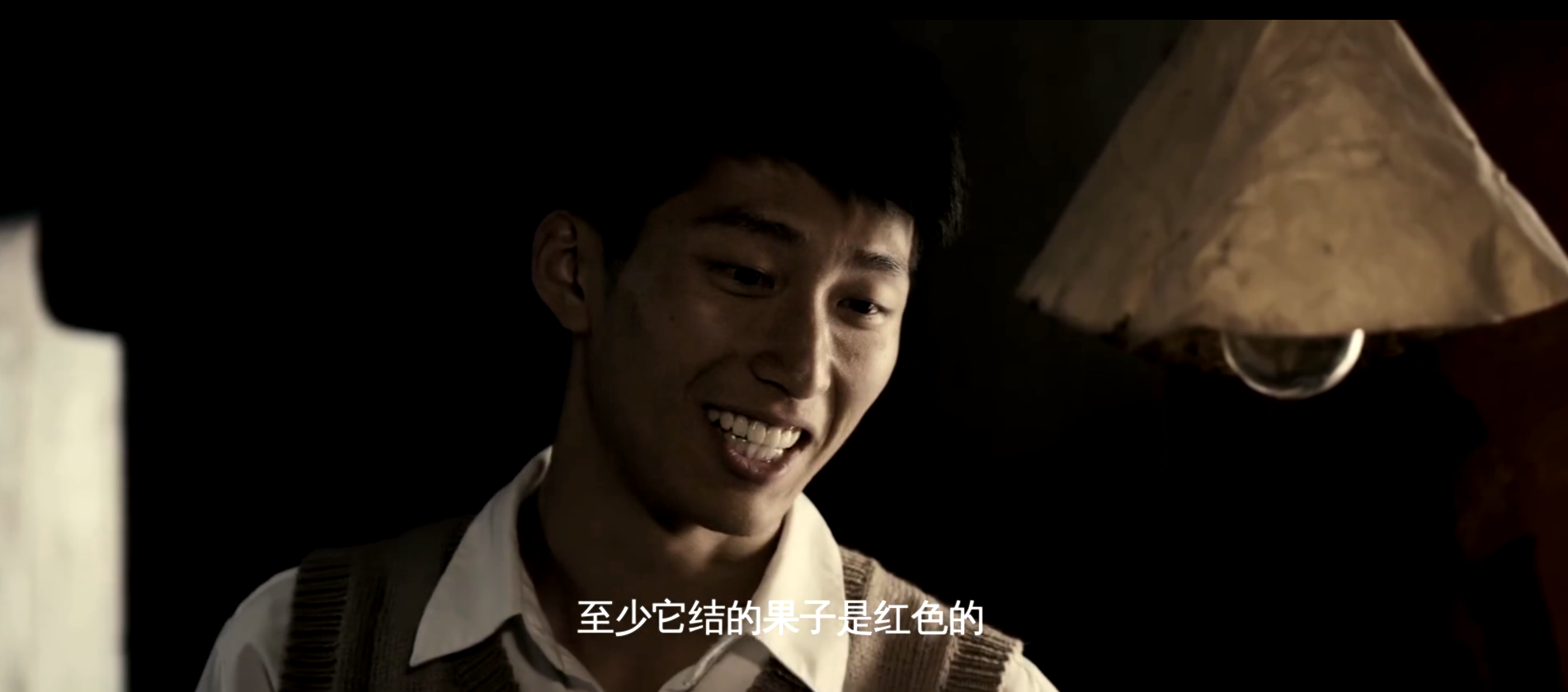 那我就等你一辈子｜《山楂树之恋》经典台词(图5)