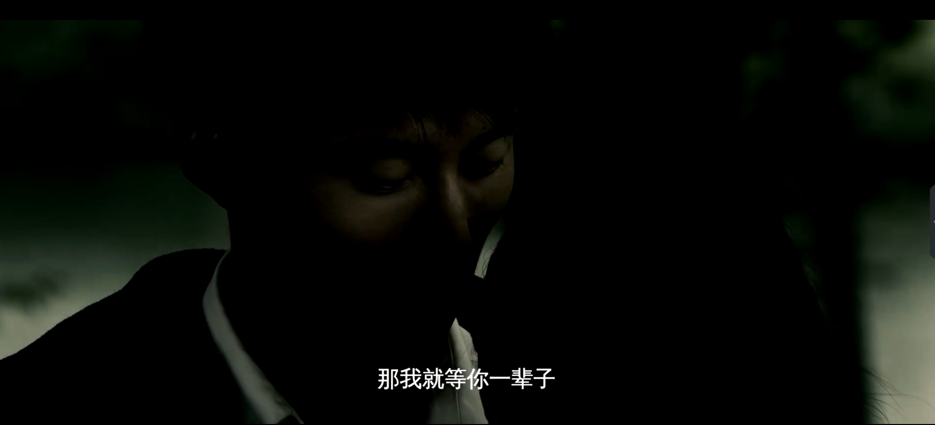 那我就等你一辈子｜《山楂树之恋》经典台词(图13)