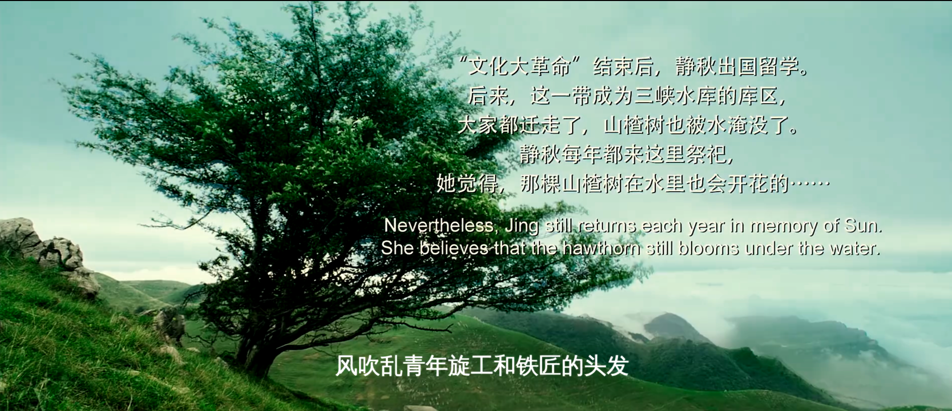 那我就等你一辈子｜《山楂树之恋》经典台词(图23)