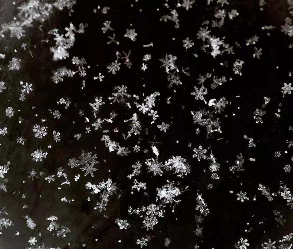 雪花像什么的比喻句有哪些？（快来收藏吧）(图2)